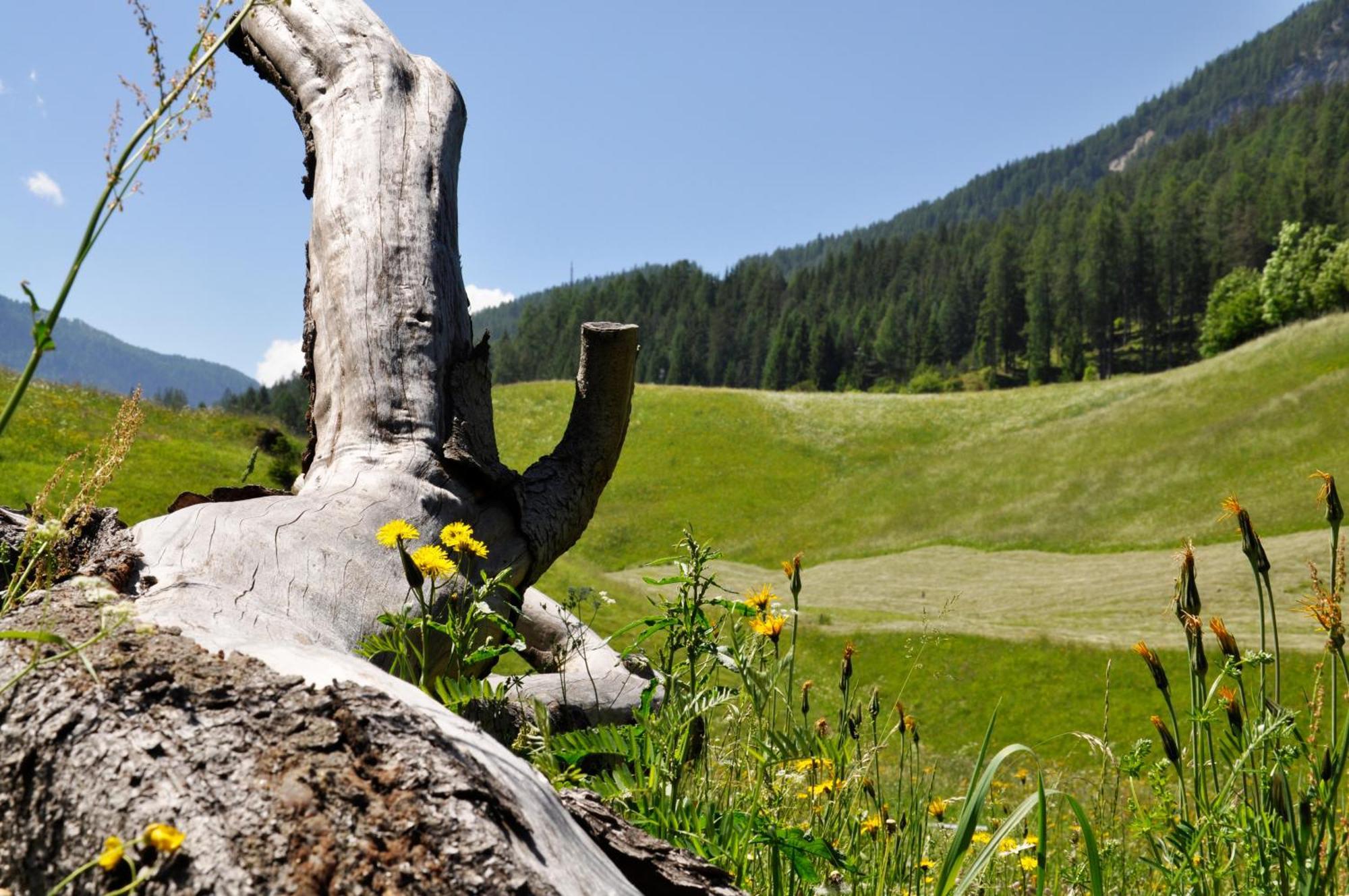 Guesthouse Rungg Badia (South Tyrol) Exteriör bild